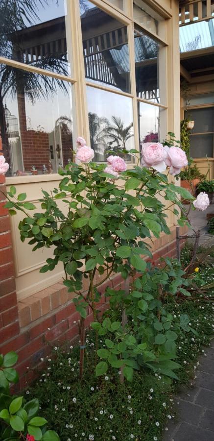 Oxford Rise Apartment Bayswater Екстериор снимка